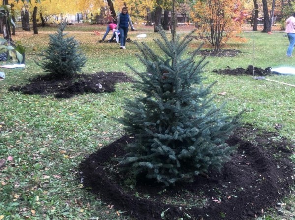 Аллея ветеранов появилась в Ленинском округе Тюмени