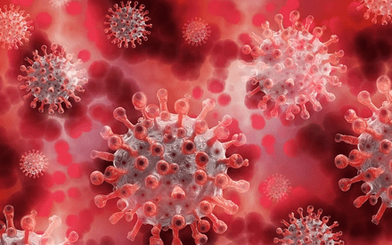 В Роспотребнадзоре назвали сроки выхода на плато по коронавирусу В Роспотребнадзоре назвали сроки выхода на плато по коронавирусу