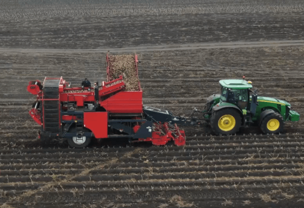 Упоровские картофелеводы получили рекордный урожай