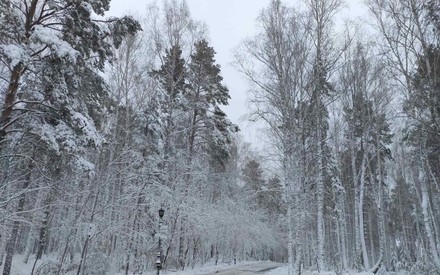 Из-за снегопада в Тюменской области отменены все утренние междугородние автобусы на курганское направление