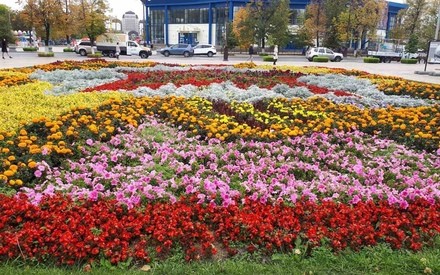 Первый день октября в Тюмени будет солнечным и теплым