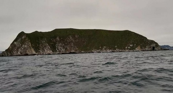 Еще на трех участках Авачинского залива в Тихом океане выявили загрязнение