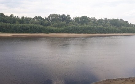 Вторник в Тюмени будет теплым, но пасмурным 