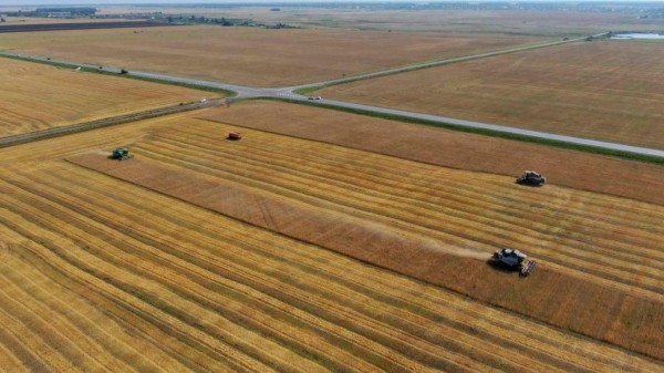 Владимир Чейметов: тюменские аграрии заслужили отличную оценку по итогам года