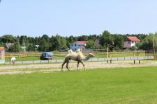 Охотничий туризм развивает тобольский предприниматель