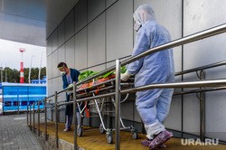 Самое важное в России и в мире на 2 ноября. Рублю грозит обвал, вакцину от COVID признали неэффективной