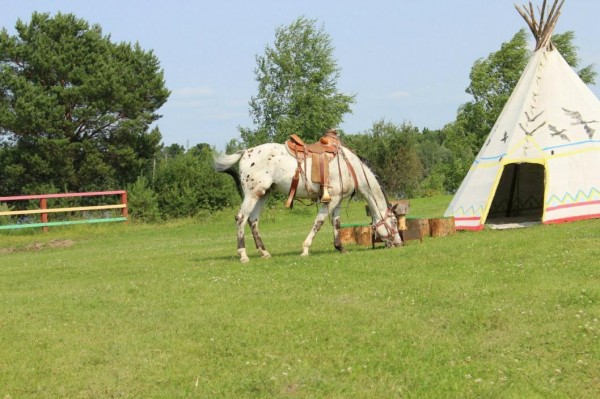 Охотничий туризм развивает тобольский предприниматель