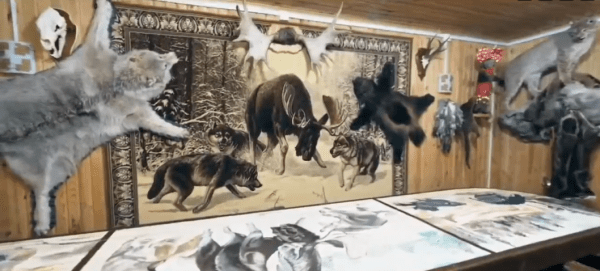 Охотничий туризм развивает тобольский предприниматель