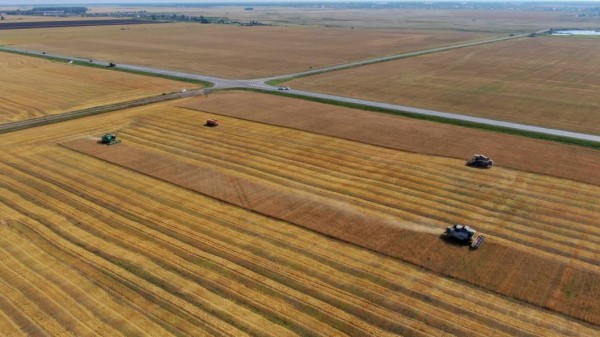 Александр Моор назвал ключевые достижения Тюменской области в АПК