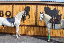 Охотничий туризм развивает тобольский предприниматель