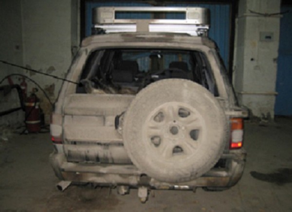 В Нижнетавдинском районе задержали подозреваемых в охоте на кабанов В Нижнетавдинском районе задержали подозреваемых в охоте на кабанов