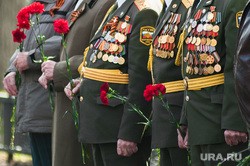 Самое важное в России и в мире на 20 ноября. В стране ликвидируют два ведомства, экзамен для старшеклассников перенесли, ветераны получат новую выплату Самое важное в России и в мире на 20 ноября. В стране ликвидируют два ведомства, экзамен для старшеклассников перенесли, ветераны получат новую выплату