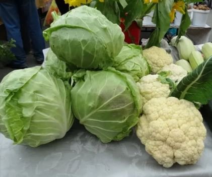 
Сегодня в Тюмени проводят продовольственную ярмарку!
