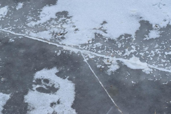 Провалившегося под лед мужчину ищут в Тюменской области