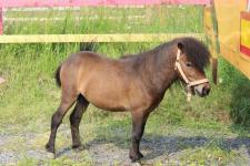 Охотничий туризм развивает тобольский предприниматель