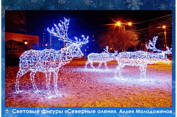 &laquo;Сладкая елка&raquo;, хрустальные деревья и необычные арт-объекты: новогодний наряд Тюмени в деталях 