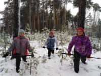 В Тобольске любители скандинавской ходьбы снимут новогодний ролик