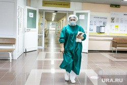 Самое важное в России и в мире на 23 декабря. Пенсионерам и медикам повысят выплаты, 31 декабря может стать выходным