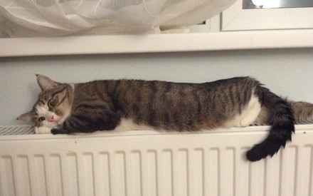 Тюменские чиновники рассказали, как изменятся тарифы ЖКХ в 2021 году