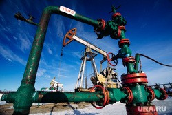 Жители УрФО назвали самые престижные сферы для работы