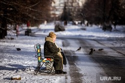 Новости кризиса 28 декабря. Пенсионеры РФ получат новые выплаты, студентам поднимут стипендии