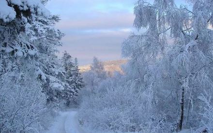 В Тюмени на Новый год ударят морозы до -38 градусов!
