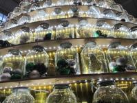 Елку из 800 стеклянных банок установили на тюменском рынке