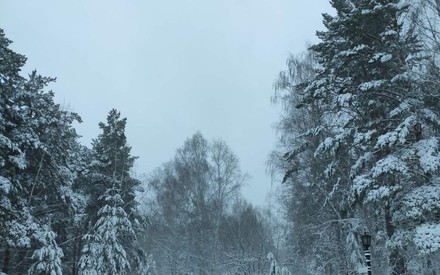 Погода на 15 декабря: снова тепло и без снега