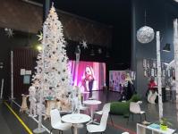 Гостей тюменского "Космоса" встречает елка из веток деревьев