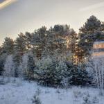 Рельсобус "Орлан" прошел тестирование на дороге Тюмень – Тобольск Рельсобус "Орлан" прошел тестирование на дороге Тюмень – Тобольск