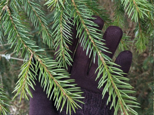 В Тюменской области на охрану елок выйдут патрули В Тюменской области на охрану елок выйдут патрули