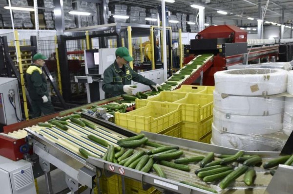 Новые рабочие места создают на предприятиях Тюменского района Новые рабочие места создают на предприятиях Тюменского района