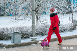 В Гидрометцентре предупредили об аномальной зиме в России