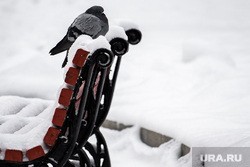 На Россию идут снегопады и метели