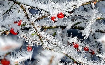 На старый Новый год в Тюмени будет очень холодно На старый Новый год в Тюмени будет очень холодно