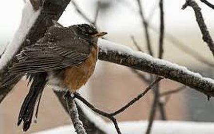 В предстоящие сутки в Тюмени потеплеет до +1 градуса!