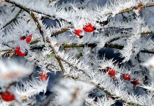 
Уведомление&nbsp;о неблагоприятных природных явлениях
