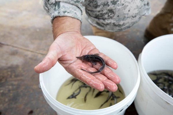 "Транснефть-Сибирь" обеспечила экологическую безопасность объектов в 2020 году