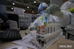 Коронавирус: последние новости 11 февраля. Число заболевших в РФ превысило 4 миллиона, однако в регионах снимут ограничения