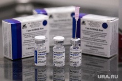 Коронавирус: последние новости 26 февраля. В странах ЕС введут сертификаты вакцинации, ученые выявили самый сильный штамм COVID