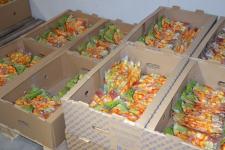 Завод по переработке картофеля в Упорово сохранил положительную динамику производства 