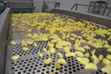 Завод по переработке картофеля в Упорово сохранил положительную динамику производства 