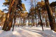 Александр Моор поделился в соцсетях зимними фотографиями городов региона