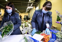 В тюменском «Леруа Мерлен» нашли опасные товары В тюменском «Леруа Мерлен» нашли опасные товары