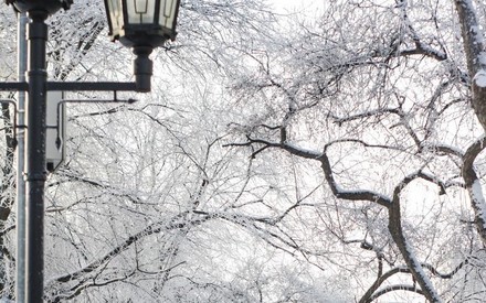 Завтра в Тюмени ожидается резкое потепление