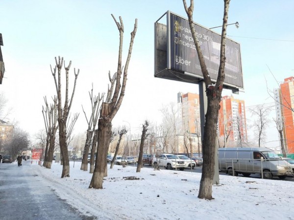 Депутат Тюменской городской думы предложил убрать рекламные конструкции с газонов Депутат Тюменской городской думы предложил убрать рекламные конструкции с газонов