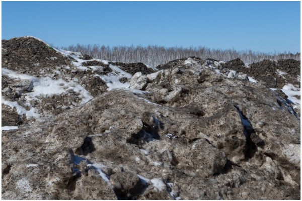 В Тюмени водителей самосвалов заставили убирать вываленные за городом кучи грязного снега 