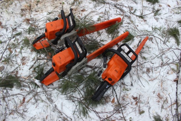 Житель Голышманово незаконно срубил четыре березы на 55 тыс. рублей