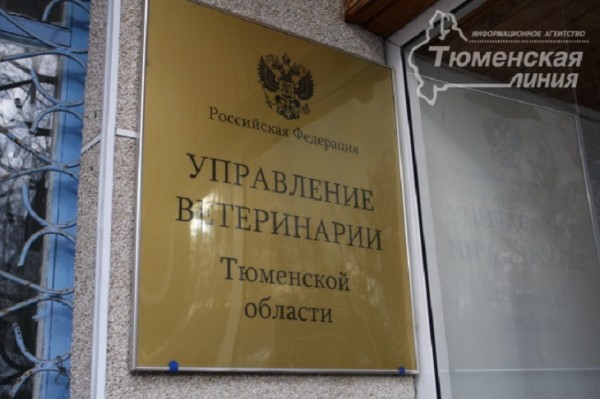 Ветеринары напоминают о важности прививок животным 