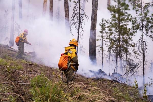 В Тюменской области остановили распространение огня девяти действующих пожаров